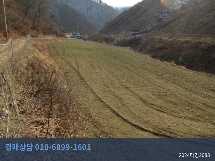 2024타경2083 토지 현황 이미지 1