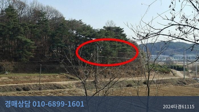 2024타경61115 토지 현황 이미지 1