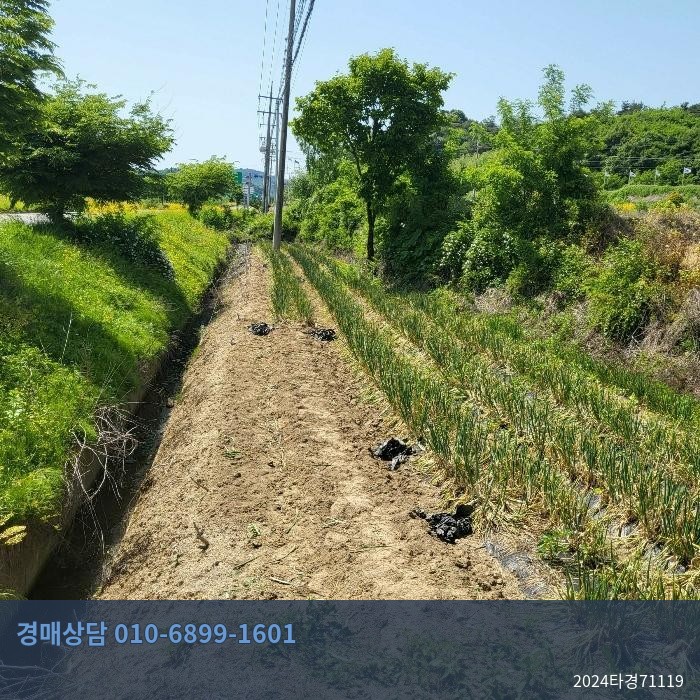 2024타경71119 단독주택 현황 이미지 1