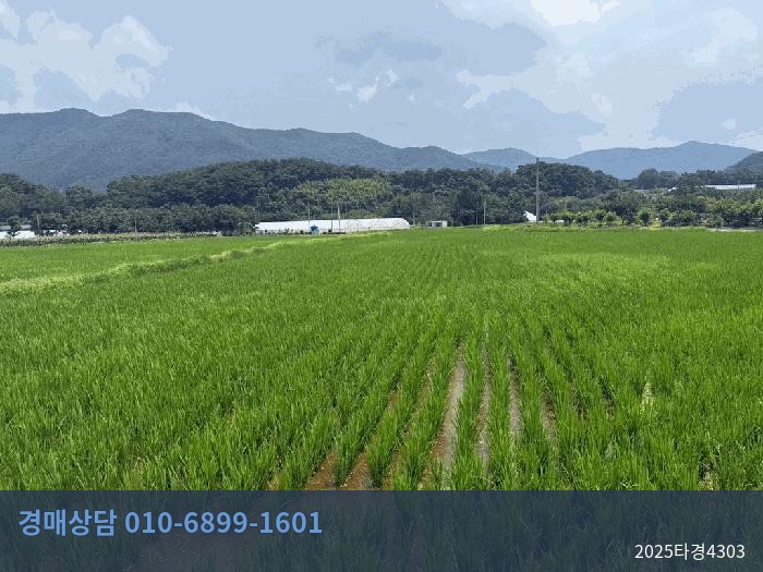 2025타경4303 답 현황 이미지 1