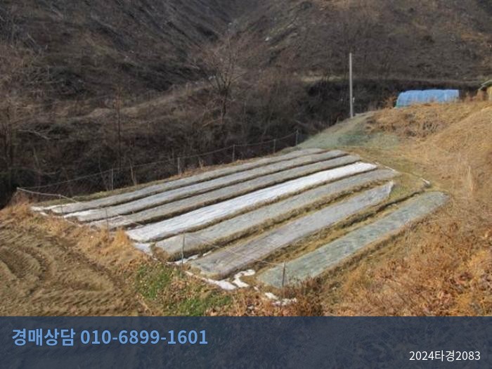 2024타경2083 토지 현황 이미지 2