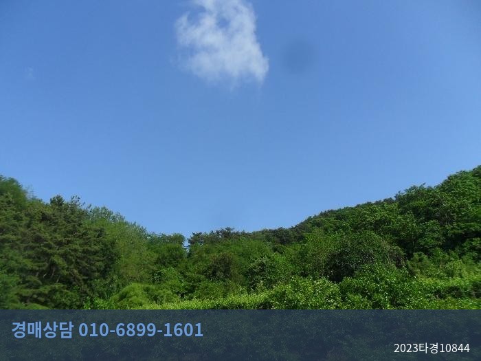 2023타경10844 임야 현황 이미지 2