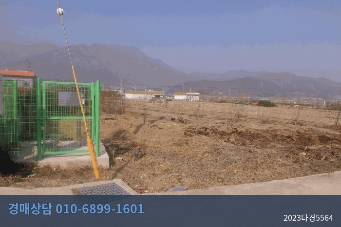2023타경5564 토지 현황 이미지 3