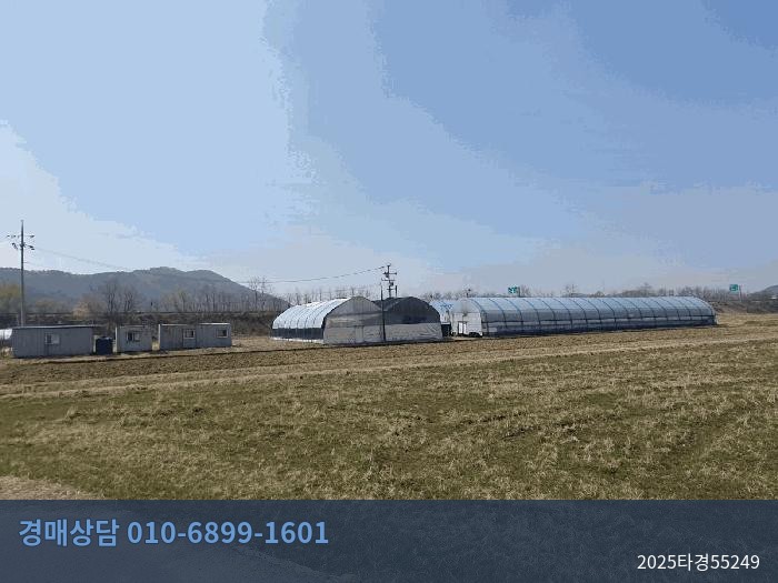2025타경55249 답 현황 이미지 3