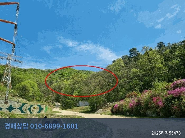 2025타경55478 임야 현황 이미지 3