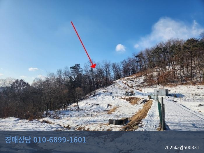 2025타경500331 임야 현황 이미지 3