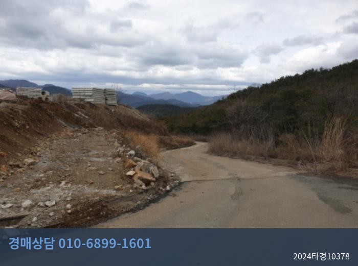 2024타경10378 임야 현황 이미지 3