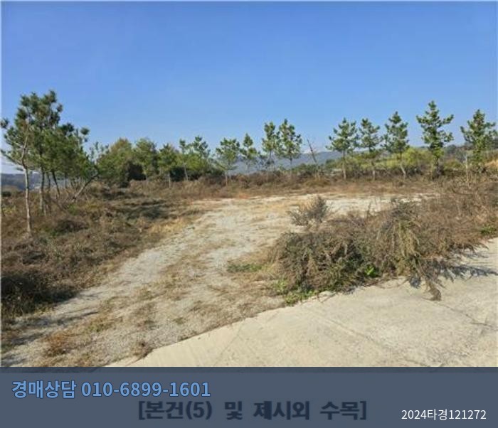 2024타경121272 공장 현황 이미지 3