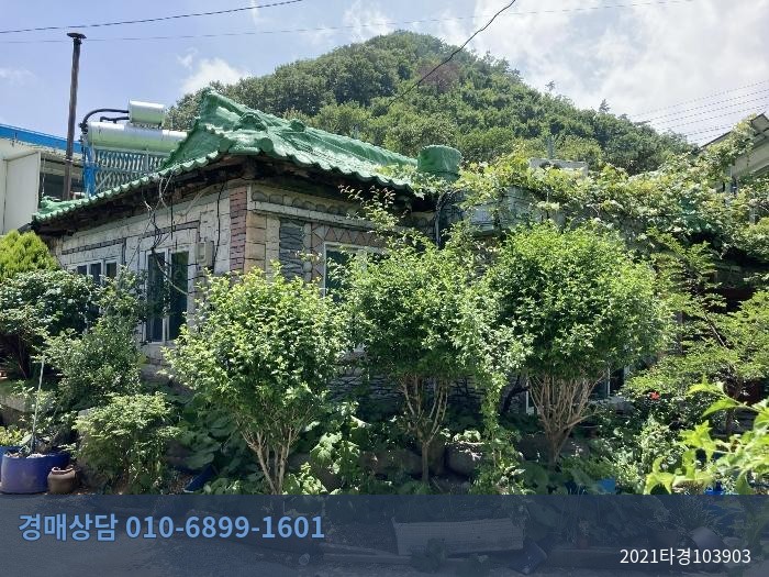 2021타경103903 임야 현황 이미지 3