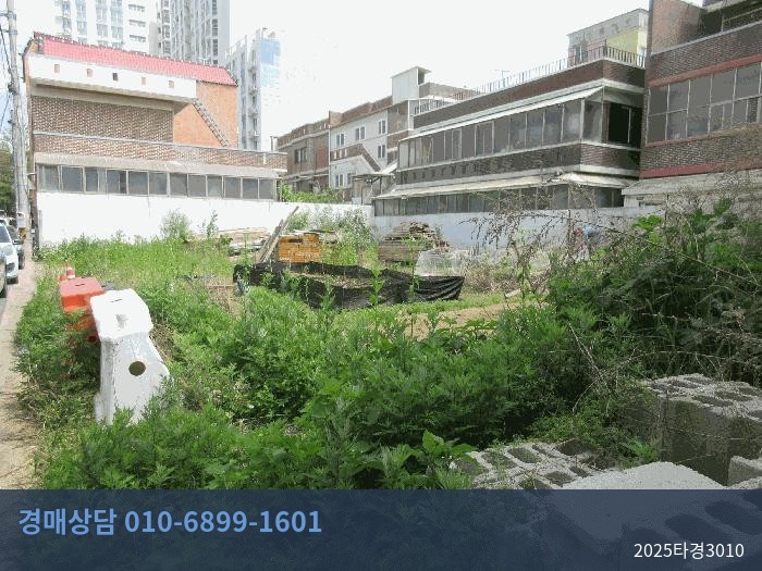 2025타경3010 대지 현황 이미지 3