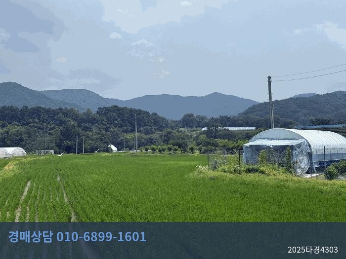 2025타경4303 답 현황 이미지 3
