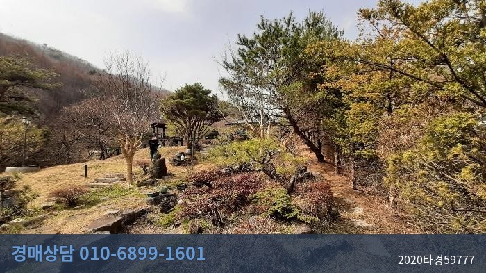 2020타경59777 단독주택 현황 이미지 3