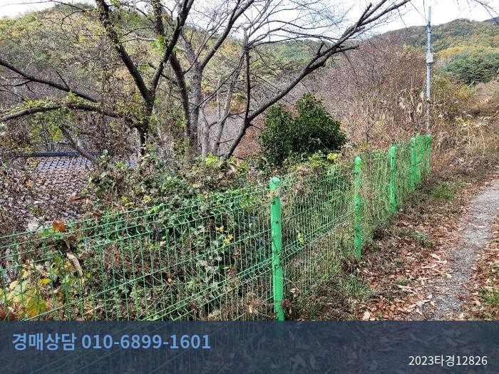 2023타경12826 임야 현황 이미지 3