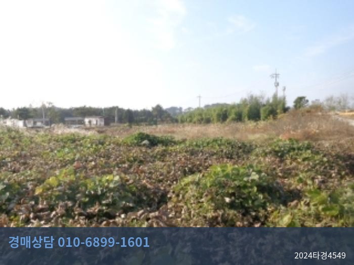 2024타경4549 상가 현황 이미지 4
