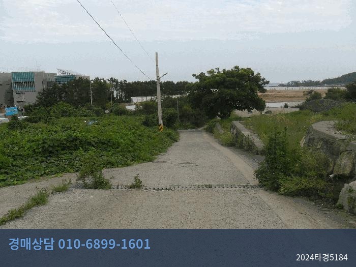 2024타경5184 상가 현황 이미지 4