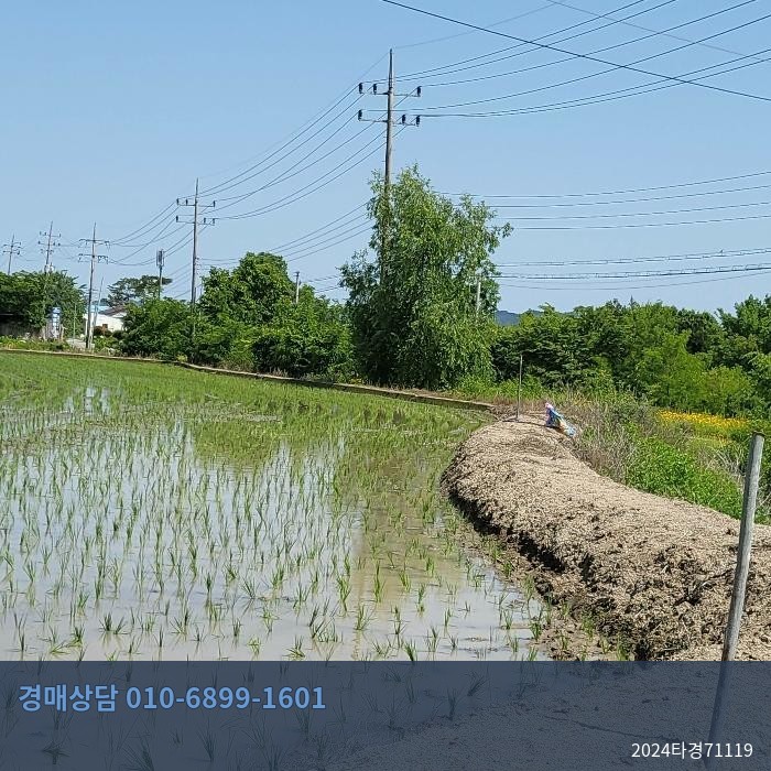2024타경71119 단독주택 현황 이미지 4
