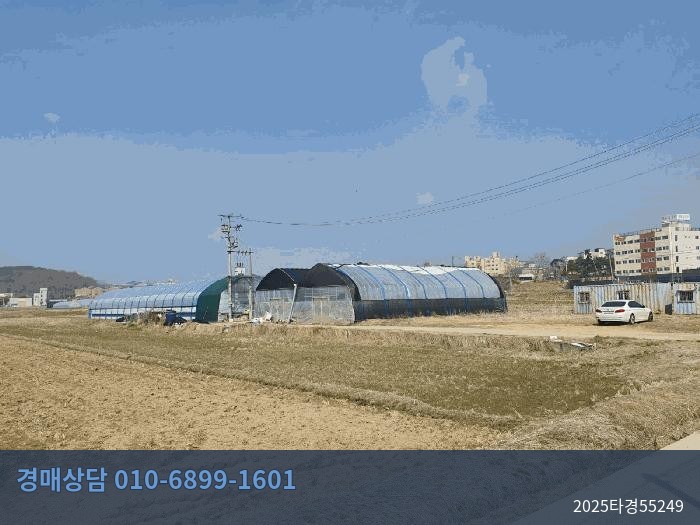 2025타경55249 답 현황 이미지 4