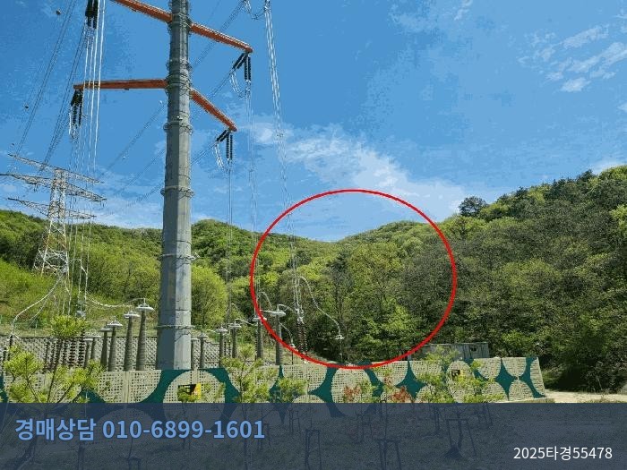 2025타경55478 임야 현황 이미지 4