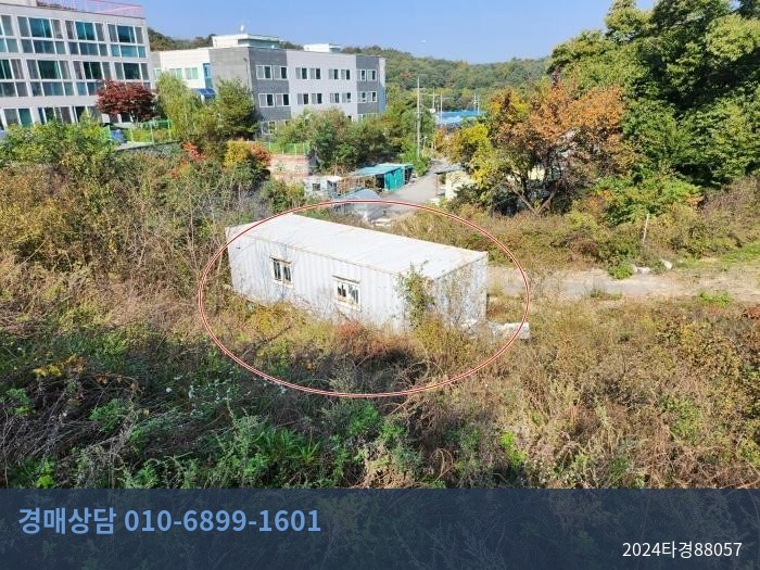 2024타경88057 임야 현황 이미지 4