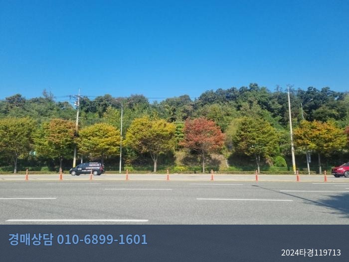 2024타경119713 임야 현황 이미지 4