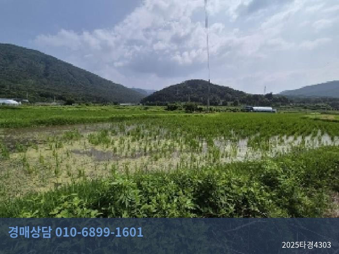 2025타경4303 답 현황 이미지 4