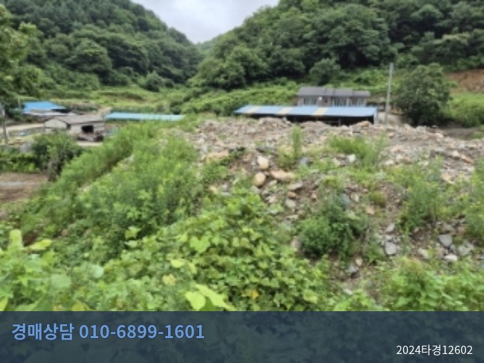 2024타경12602 단독주택 현황 이미지 5