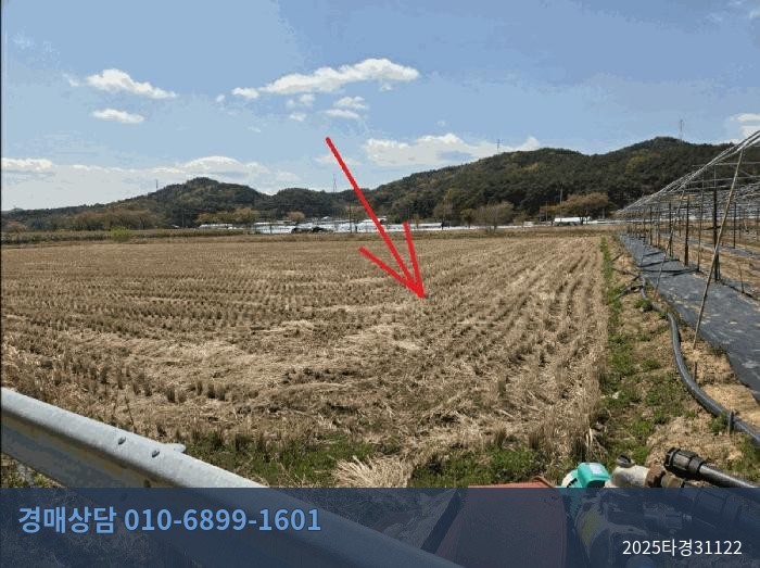 2025타경31122 전 현황 이미지 5