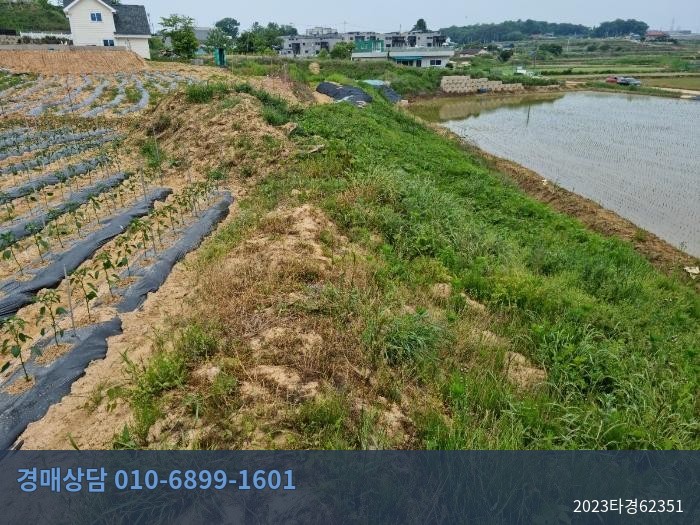 2023타경62351 단독주택 현황 이미지 5