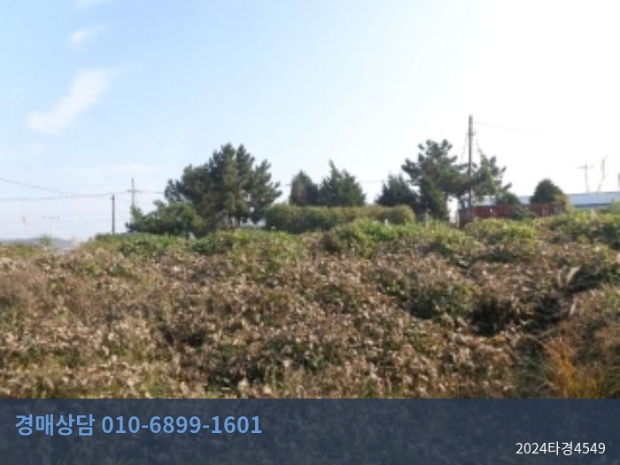 2024타경4549 상가 현황 이미지 6