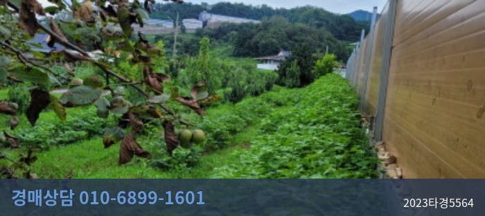 2023타경5564 토지 현황 이미지 6