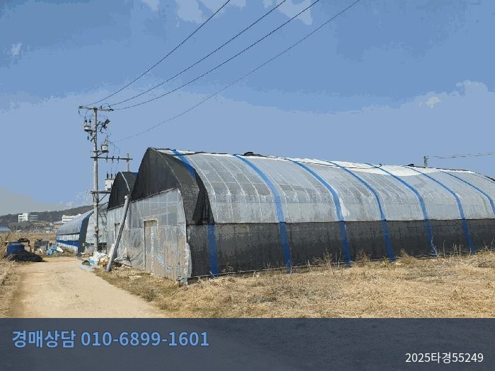 2025타경55249 답 현황 이미지 6