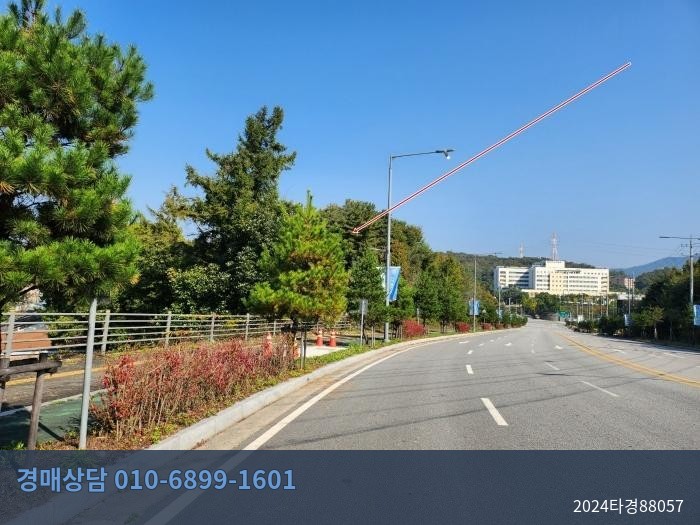 2024타경88057 임야 현황 이미지 6