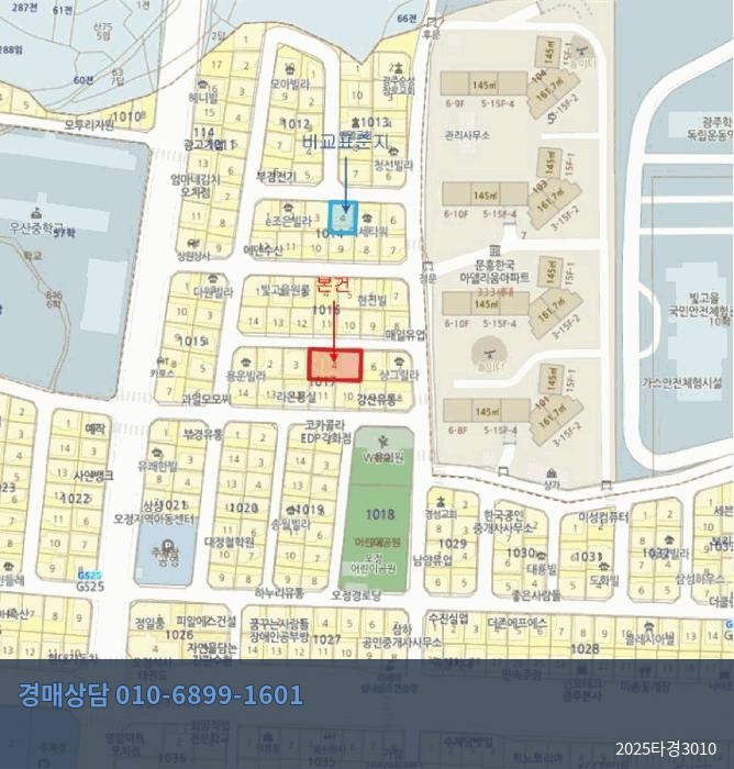 2025타경3010 대지 현황 이미지 6