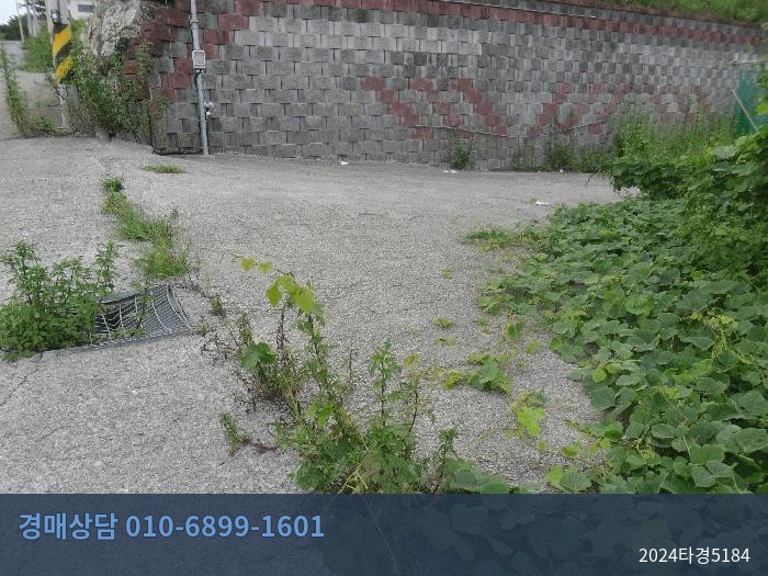 2024타경5184 상가 현황 이미지 7