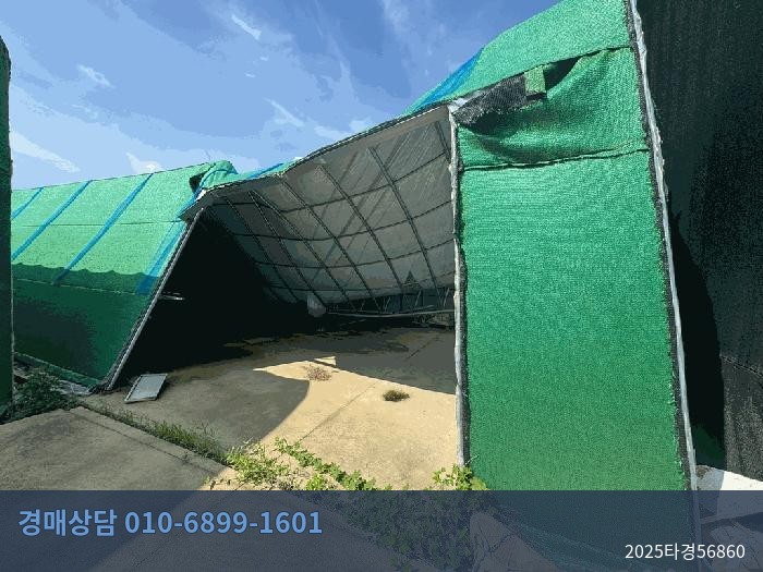 2025타경56860 임야 현황 이미지 7