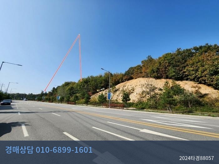 2024타경88057 임야 현황 이미지 8