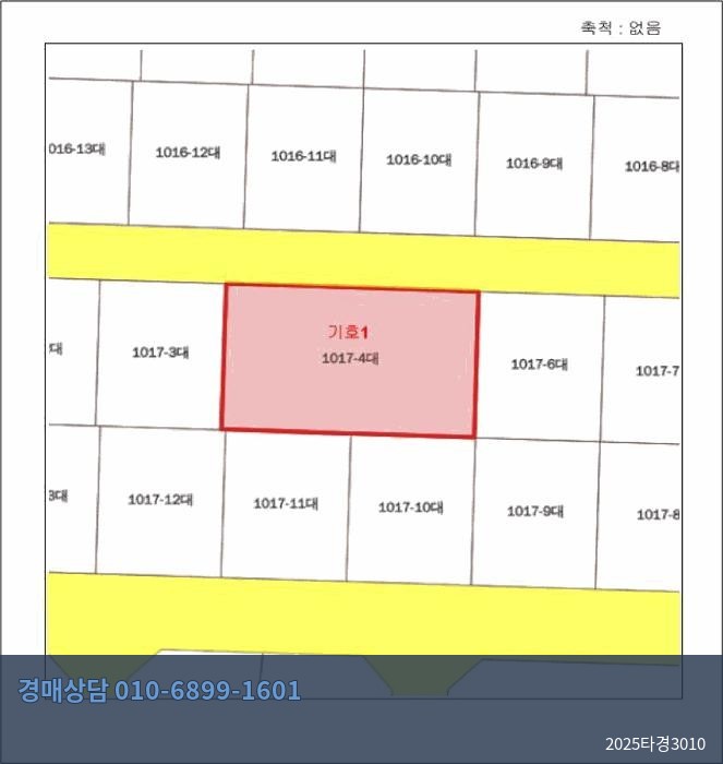 2025타경3010 대지 현황 이미지 8