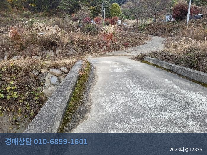 2023타경12826 임야 현황 이미지 8