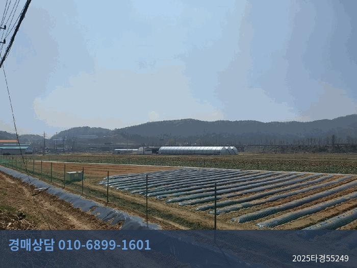 2025타경55249 답 현황 이미지 8