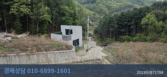 2023타경71704 임야 현황 이미지 8