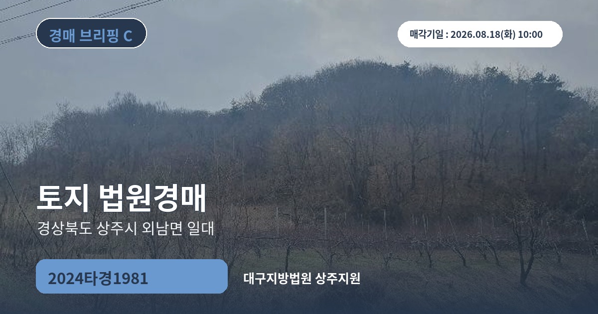 대구지방법원 상주지원 2024타경1981 토지 경매 대표 이미지