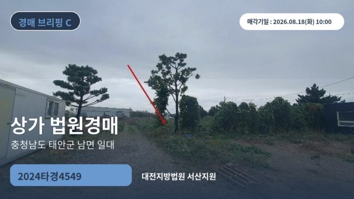 충청남도 태안군 남면 일대 상가 법원경매 | 2024타경4549