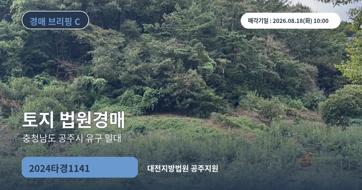 대전지방법원 공주지원 2024타경1141 토지 경매 대표 이미지