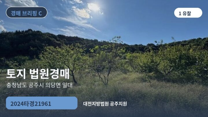 충청남도 공주시 의당면 일대 토지 법원경매 | 2024타경21961