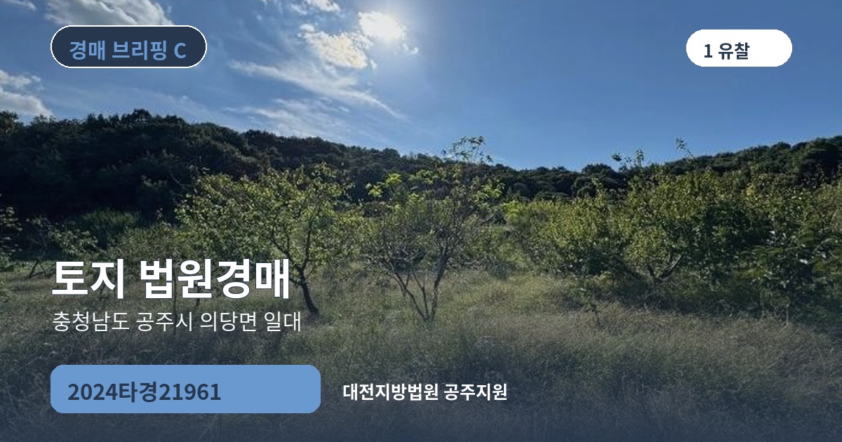 대전지방법원 공주지원 2024타경21961 토지 경매 대표 이미지