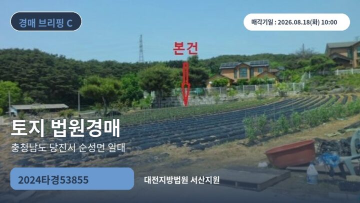 충청남도 당진시 순성면 일대 토지 법원경매 | 2024타경53855