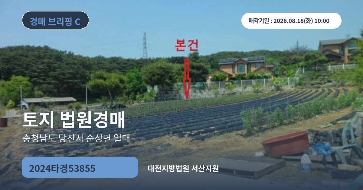 대전지방법원 서산지원 2024타경53855 토지 경매 대표 이미지