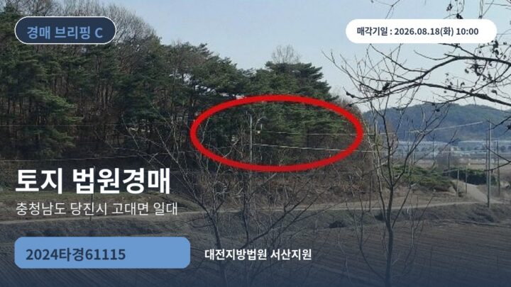충청남도 당진시 고대면 일대 토지 법원경매 | 2024타경61115