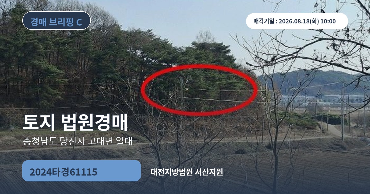 대전지방법원 서산지원 2024타경61115 토지 경매 대표 이미지