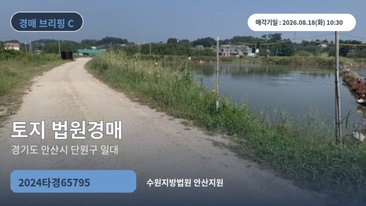 경기도 안산시 단원구 일대 토지 법원경매 | 2024타경65795